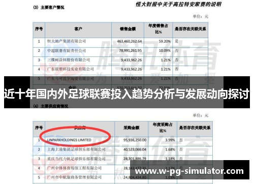 近十年国内外足球联赛投入趋势分析与发展动向探讨